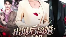 【短剧合集】 出狱后离婚，大小姐光芒万丈