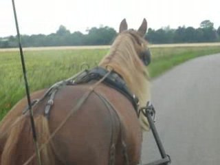 Nesquick, balade le 20 Juin