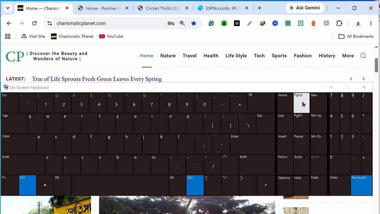 How to Switch Tabs Using Keyboard Shortcuts in Windows (Chrome, Edge, Brave)