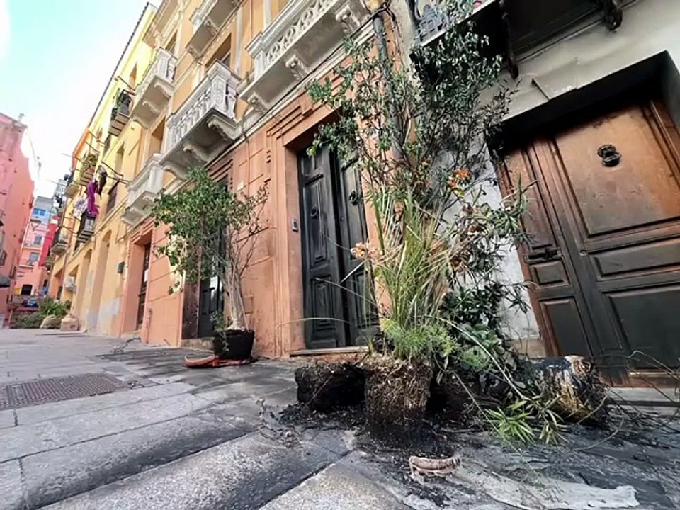 Incendio nella moschea, la testimonianza di Roberto Mamia