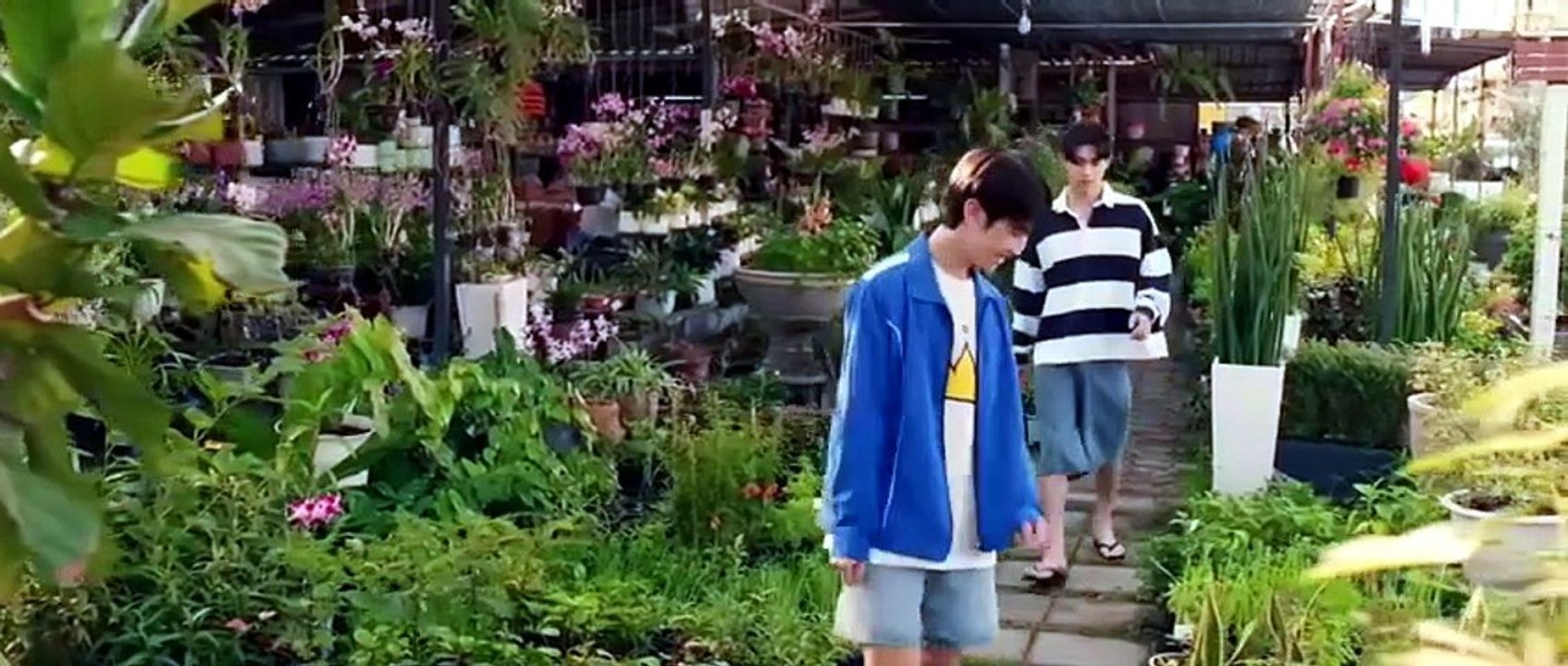 When Oranges Fall Ep 5 Engsub