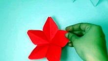 ❤️ Creativity begins with a single sheet of paper. In this video, I create a stunning red origami flower that is simple, elegant, and fun to make. Enjoy the process and let me know your favorite origami creation!