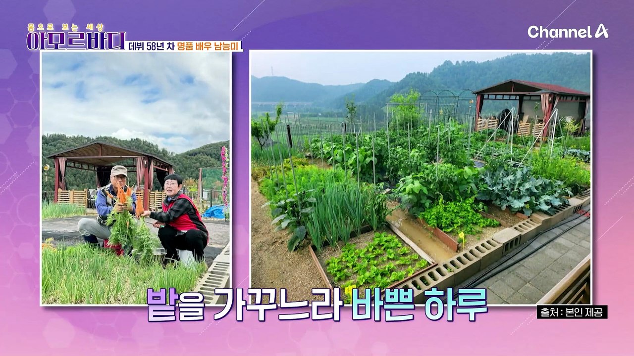 시청률 보증수표 탤런트 '남능미'와 함께 하는 황혼 관리 꿀팁!?