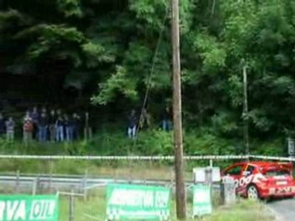 GEORGES GUEBEY 206 WRC RALLYE LIMOUSIN 2008 PEUGEOT