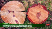 Yeşil Doğa orman gençleştirme çalışmalarını ekranlara taşıdı