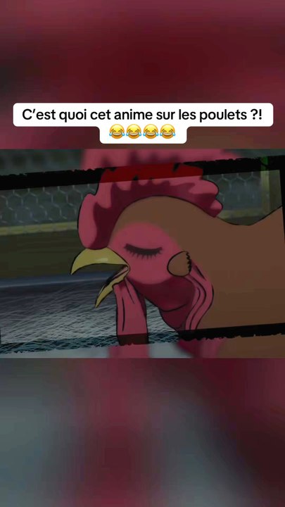 C’est quoi cet anime sur le poulet ?