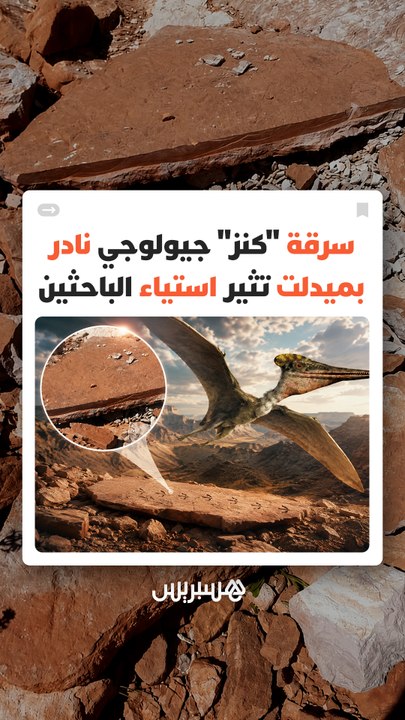 اختفاء لوح أحفوري يوثق آثار زواحف طائرة من عصر الديناصورات يثير مخاوف متزايدة بشأن حماية التراث الجيولوجي المغربي