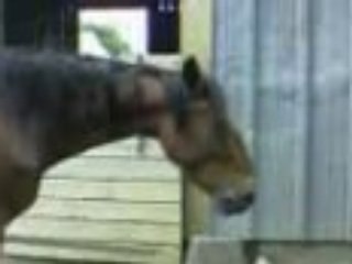 Nara au pays des Bisounours !