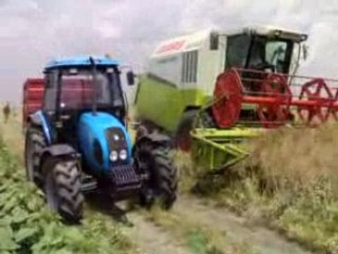Our Claas Medion 340 is harvesting the rapes Part 3