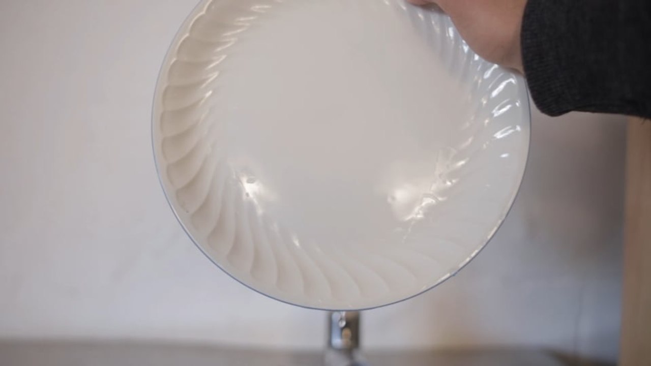 Platos agua