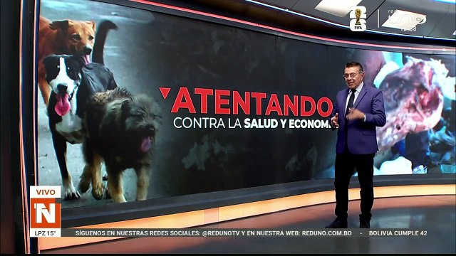 Encuentran cráneos y restos óseos de animales