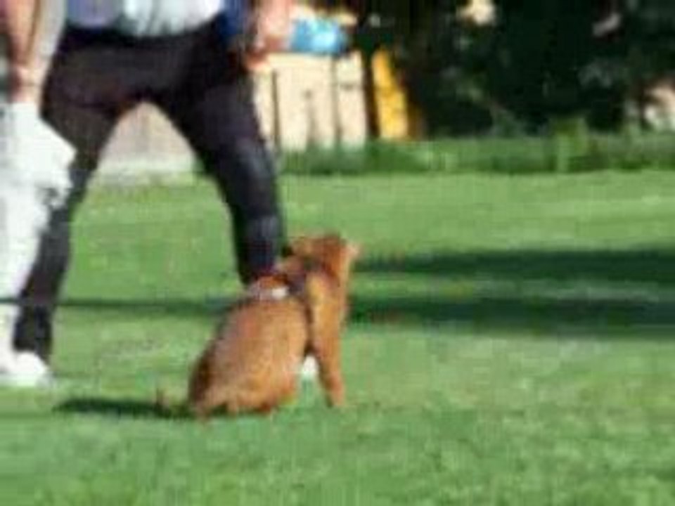 Dragibus 2moisdemi 004