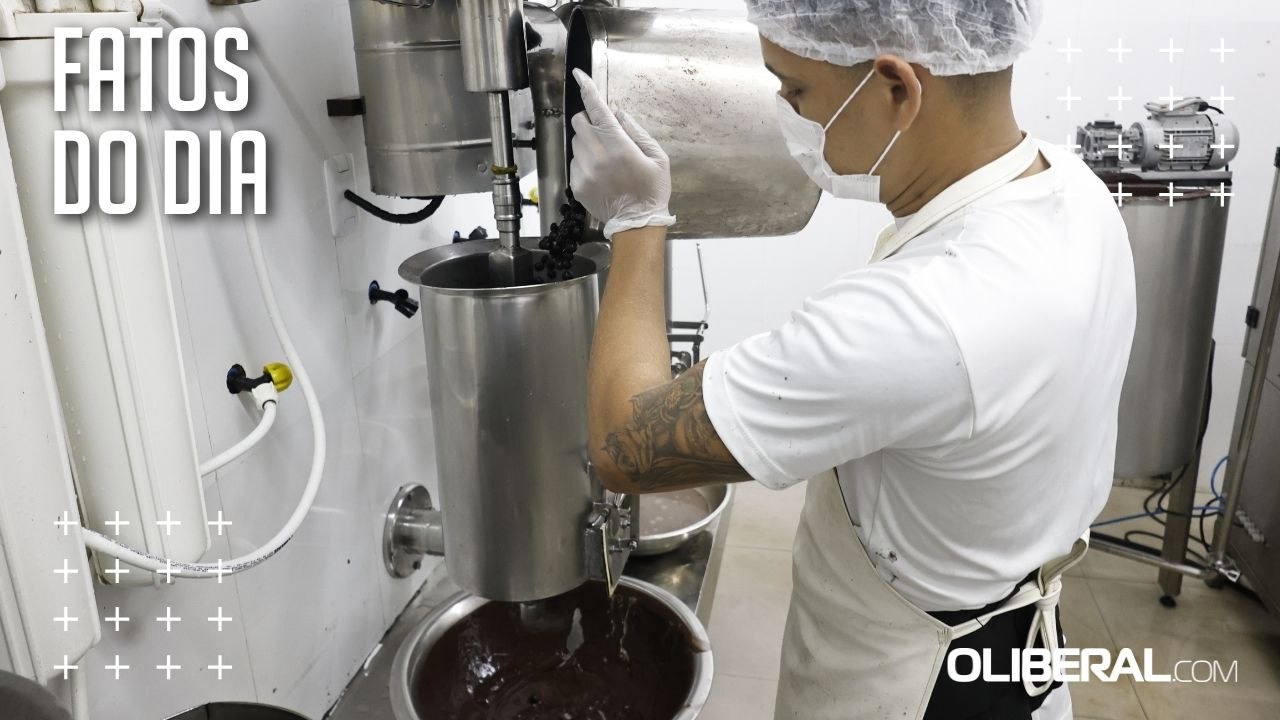 Preço do açaí já caiu cerca de 30% em Belém e pode chegar a R$ 20 no pico da safra
