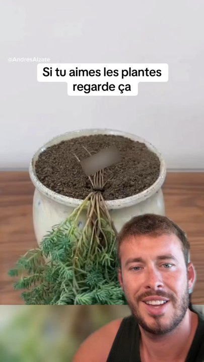 Tu aimes les plantes ?