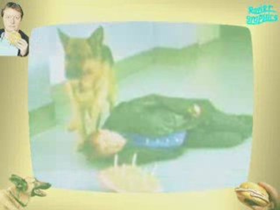 Commissaire Rex & Christian Böck 01