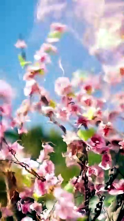 Help! A Fake Master Made Immortals🔥🔥 Chinese Drama - English Sub | Full Short Drama | English Sub 2026 [Full Movie]