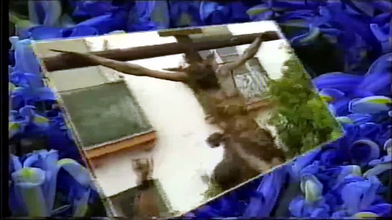El Cerro 1995