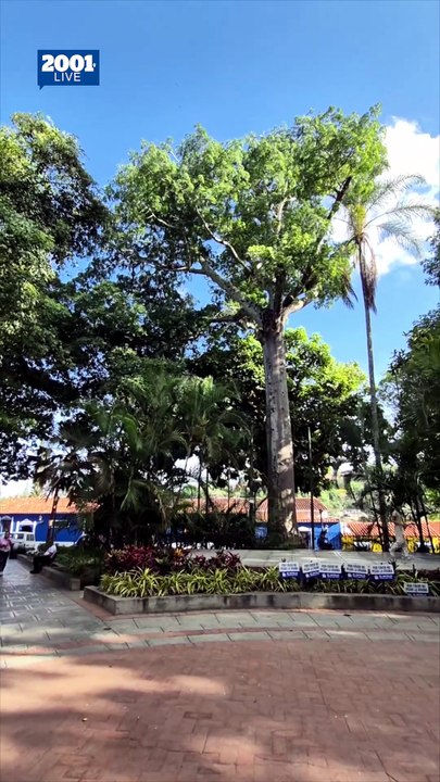El Hatillo celebra su 242 aniversario: Conoce el cronograma de actividades