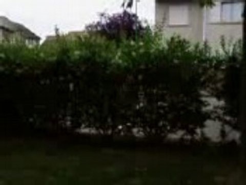 saut de buissons part 2