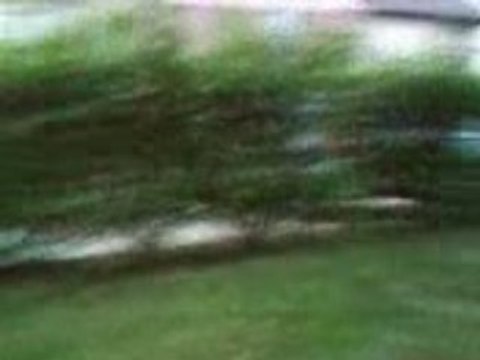 saut de buissons part 3