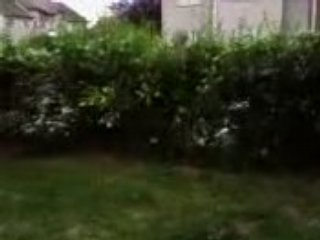 saut de buissons part 4