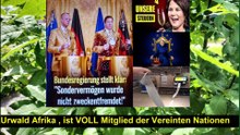 vereinte-nationen-film-unkraut-urwald-schilder-verkehrsschild-chaos