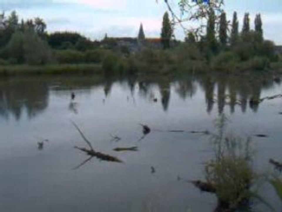 Peche 015