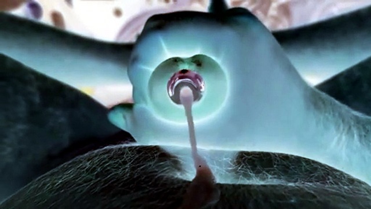 13mm plug