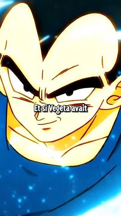 Et si Beerus élevait Vegeta ?