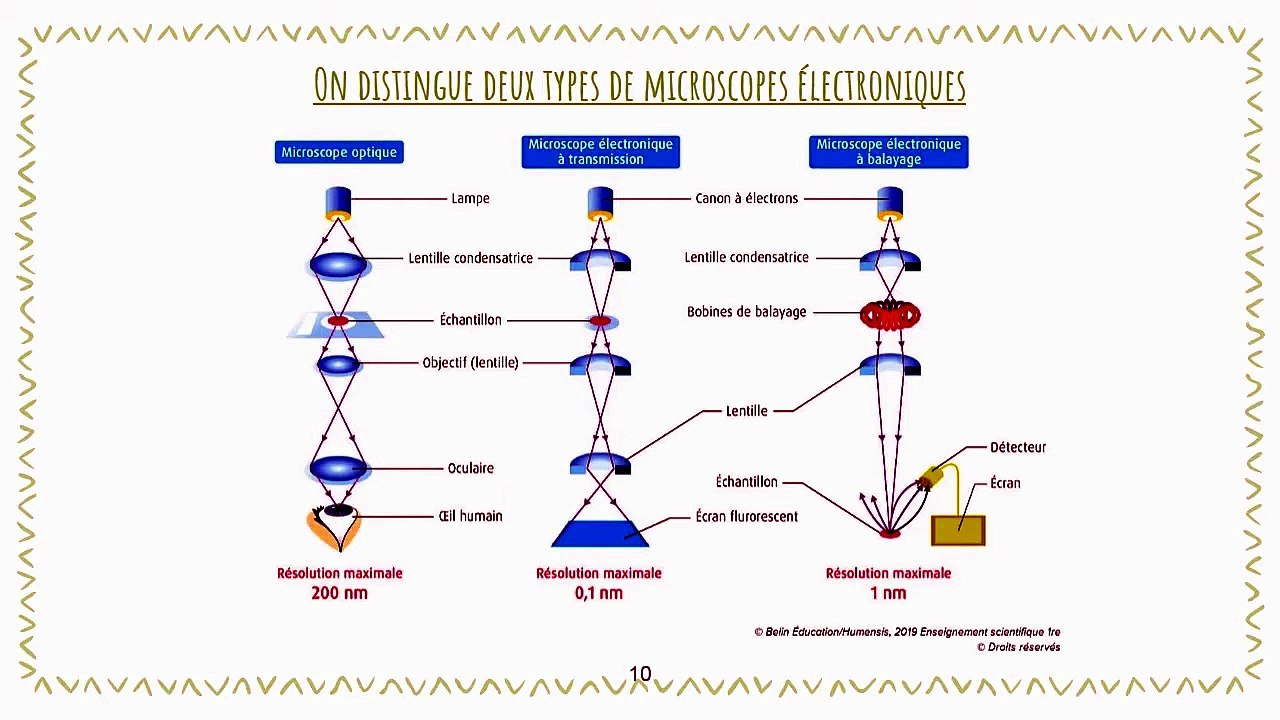 La Stratigraphie 