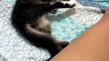 😮😮😮 #viral