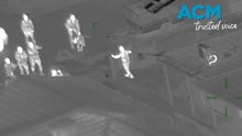 Operation Nighthawk results in 31 arrests over two nights
