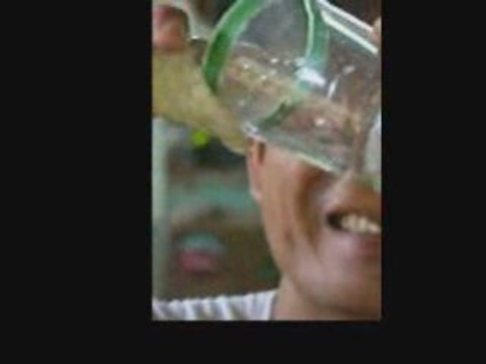 9 Snake Farm chiang mai-thailand