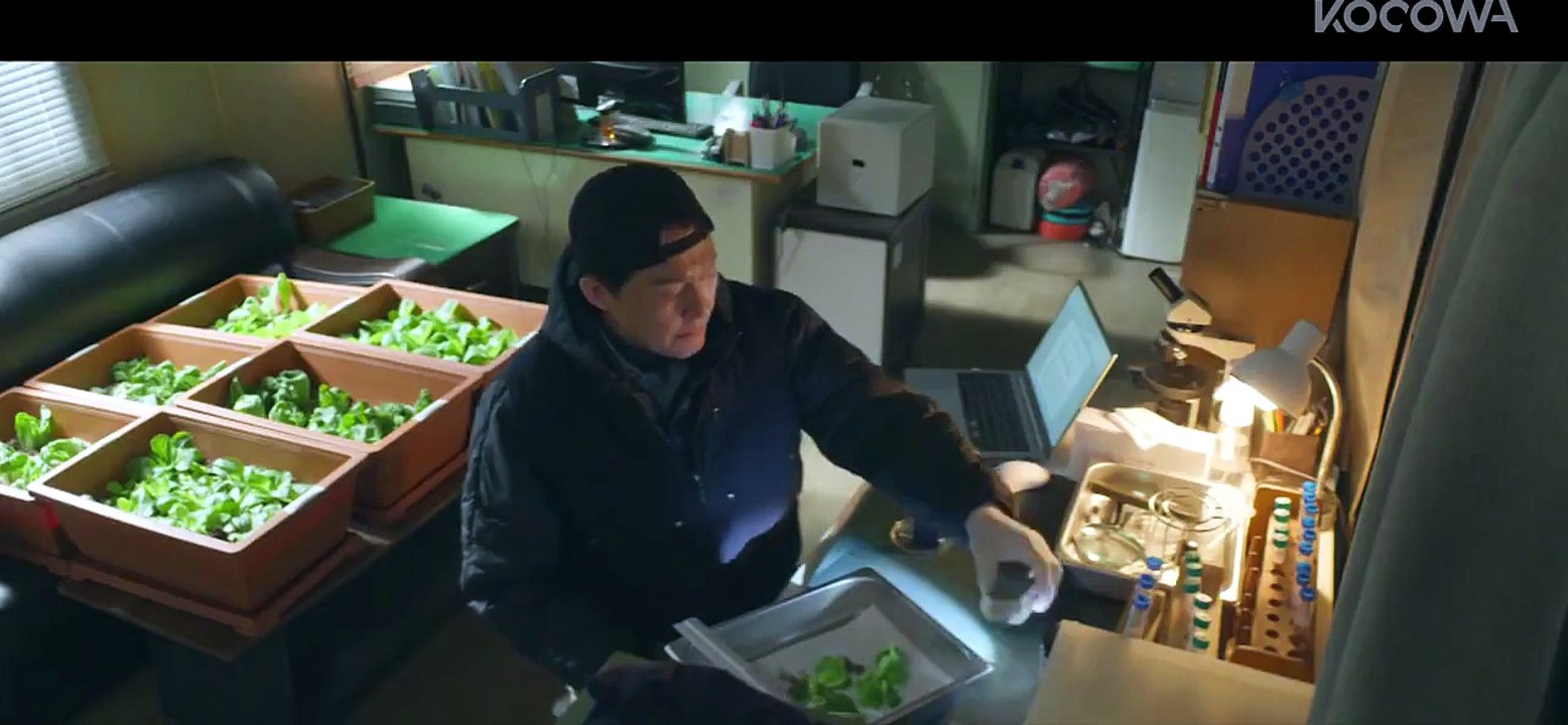 Cabbage Your Life - Episode 9