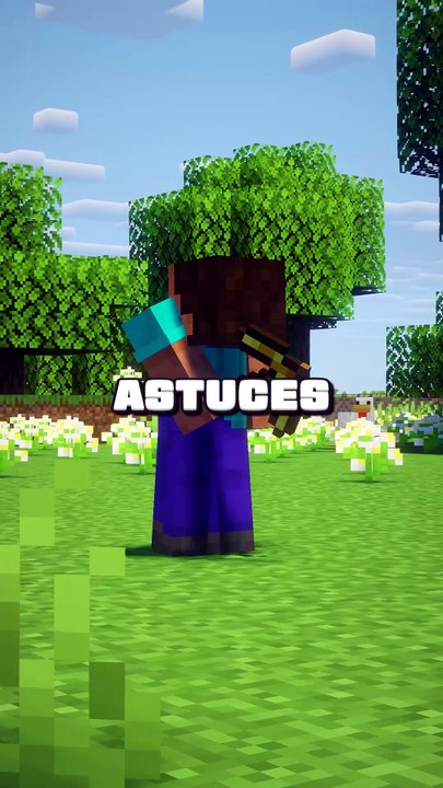 3 ASTUCES sur Minecraft 👀