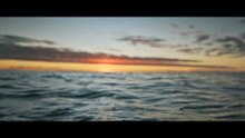 Equilibrio marino - Planeta Inteligente