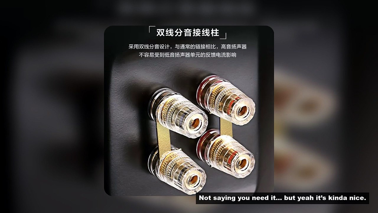200W 8 Inch Home High Power HiFi Speaker Three-way Passive Bookshelf Speaker Home Theater Speaker NP