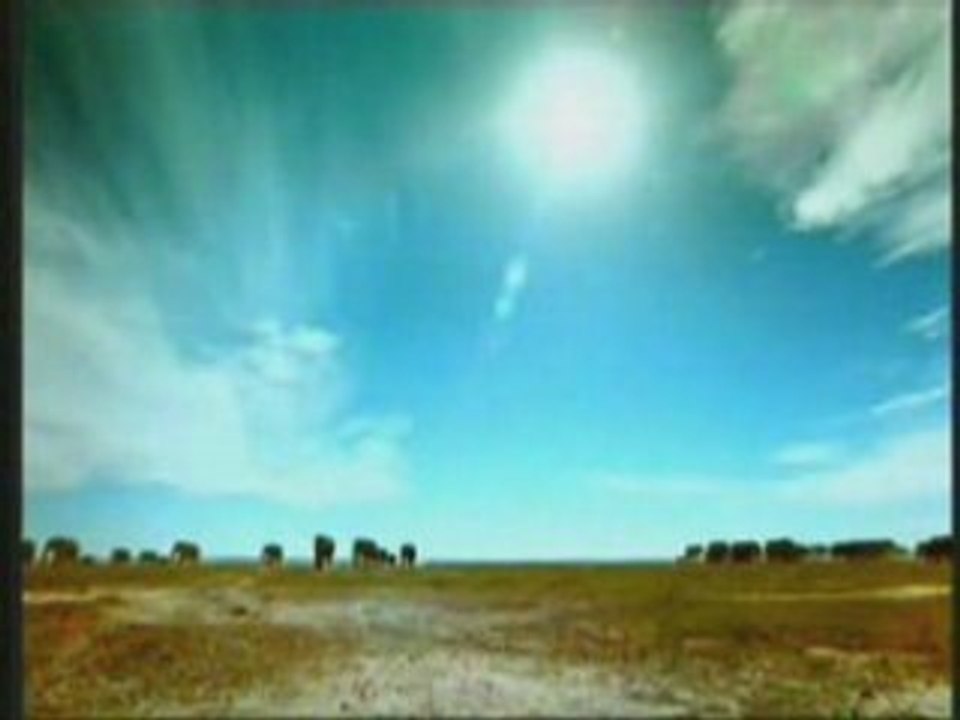 Amour & coopération parmi les créatures #1