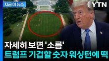 워싱턴 한복판에 등장한 숫자...미국, 수사 시작 [지금이뉴스]  / YTN