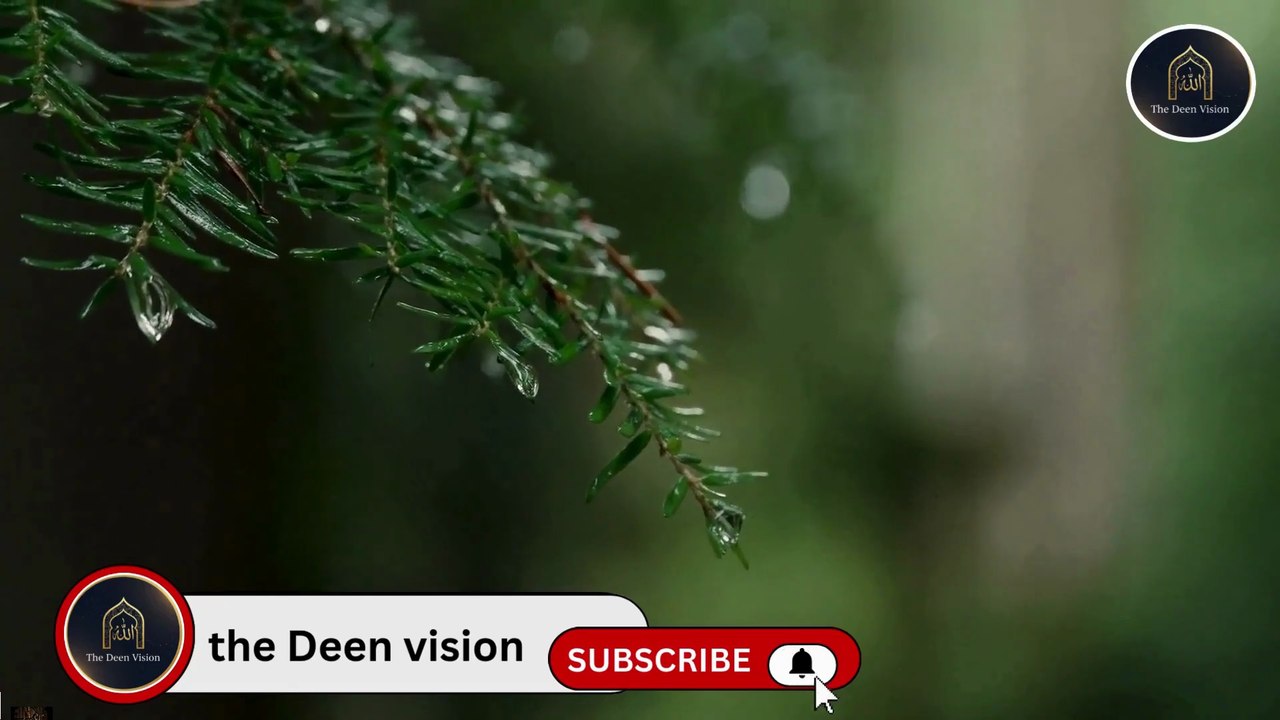 Iman Ko Taza Karne Wala Bayan | Jannah Ki Neimatein ✨