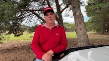 Strathalbyn Feature Cattle Sale - June, 12, 2026