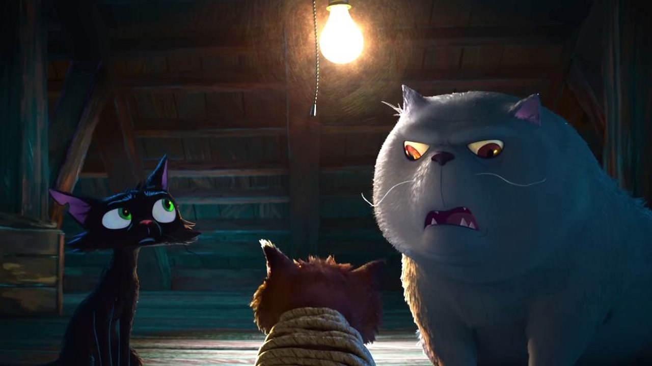 Gatto Trailer DF