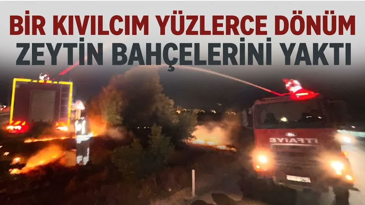 Hatay’da Anız Yangını Büyüdü, 200 Dönüm Arazi Zarar Gördü