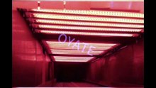 533mm 240v 1200w Carbon Fiber Infrared Heating Lamp Infrared Heating Elements