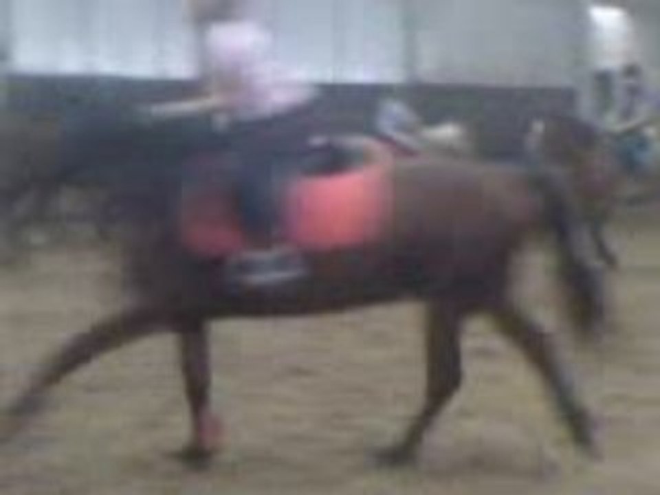 Galop kenzo