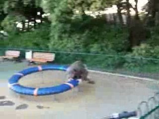 Début de soirée GLT