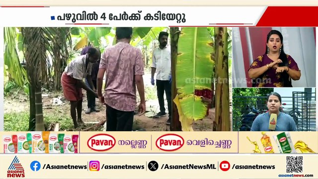 തൃശൂരിൽ തെരുവുനായ ആക്രമണം; മുള്ളൂർക്കരയിൽ 5 പേരെ വീട്ടിൽ കയറി കടിച്ചു, പഴുവിൽ 4 പേർക്ക് കടിയേറ്റു