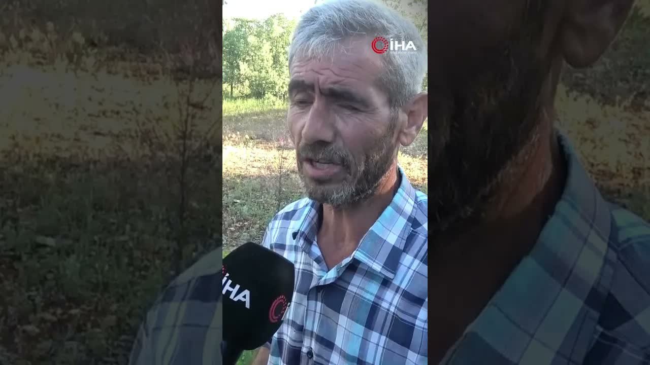 Meşe Mantarı Gelir Kapısı Oldu: Ormanda Bulan Kazanıyor