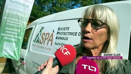 Enedis et la SPA deviennent partenaires