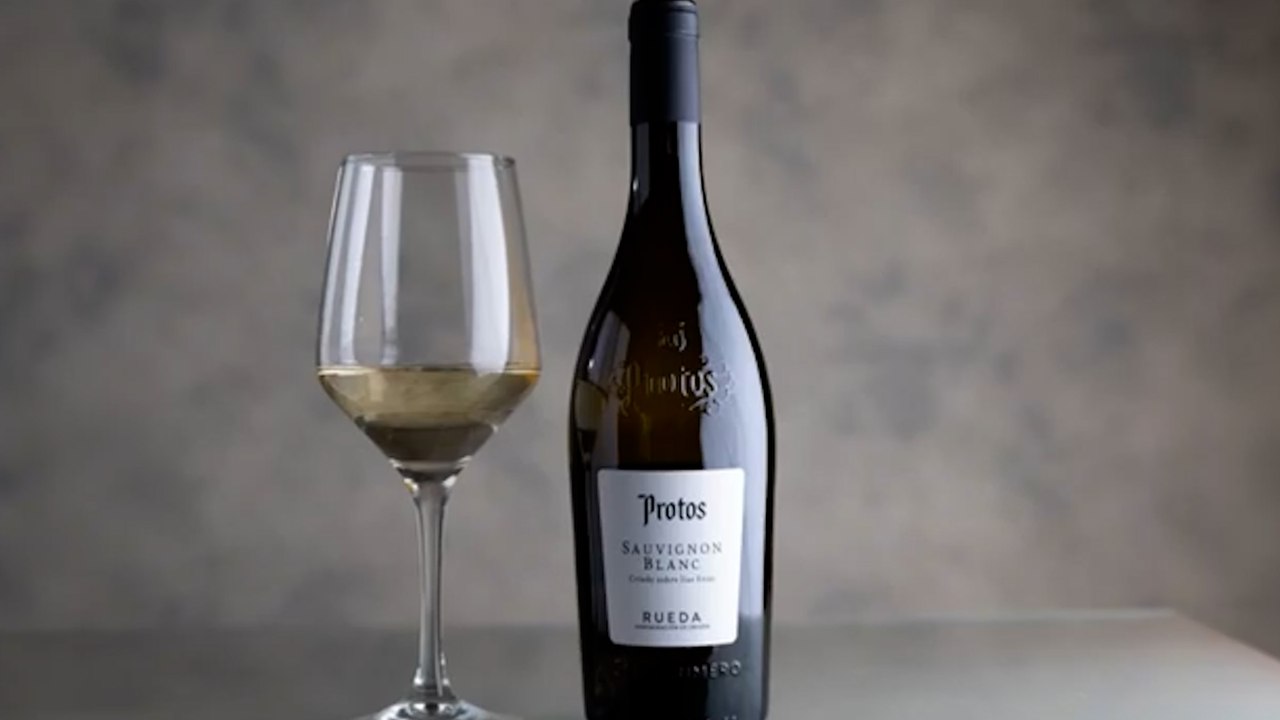 Videocata - Protos Sauvignon Blanc 2025
